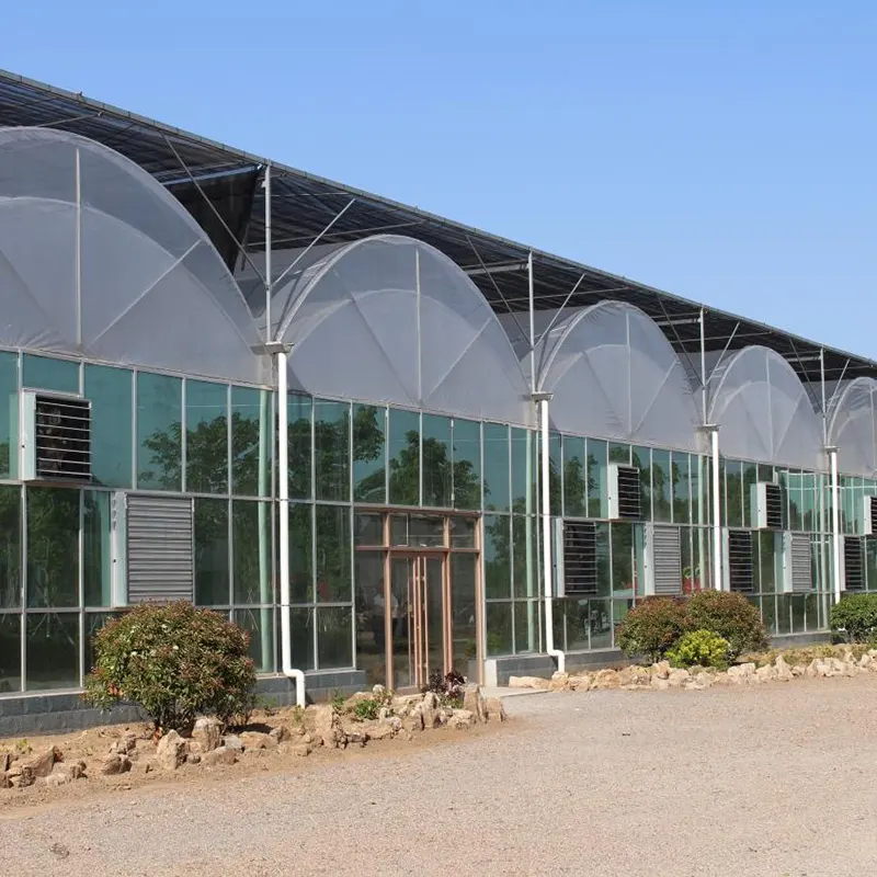 Double-Layer Film Multi-Span Greenhouse