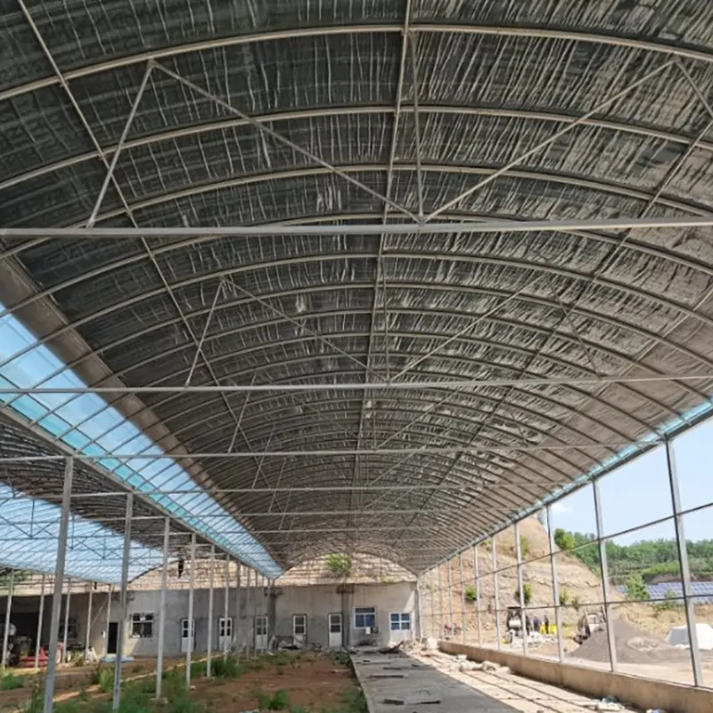 โรงเพาะพันธุ์ปศุสัตว์ขนาดใหญ่