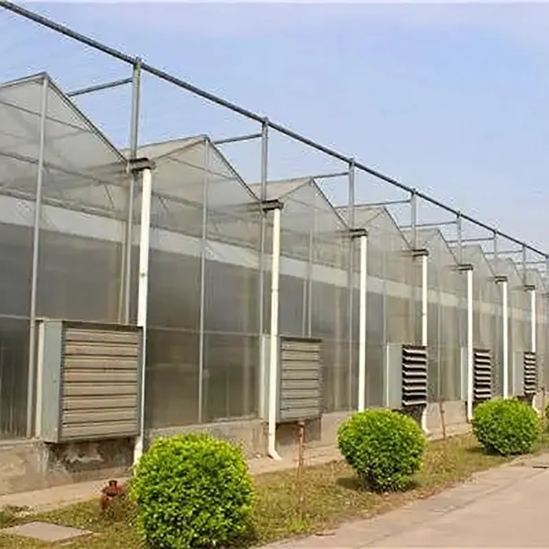 Multi-Ridge Venlo-Type เรือนกระจกหลายช่วง